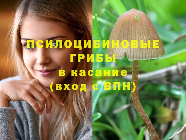 круглые Бородино