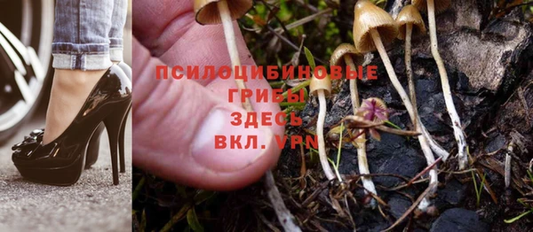 СК Бугульма