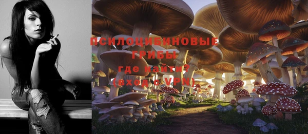 круглые Бородино