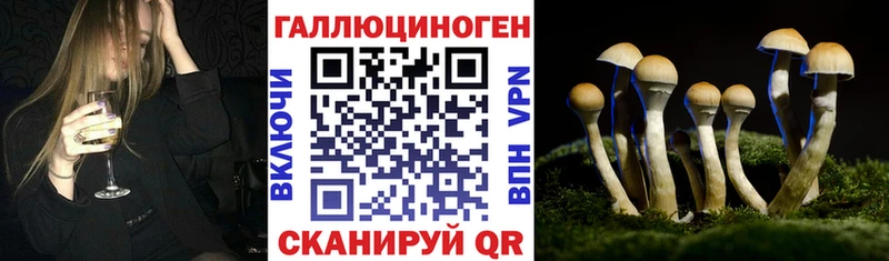 закладки  Череповец  Галлюциногенные грибы ЛСД 